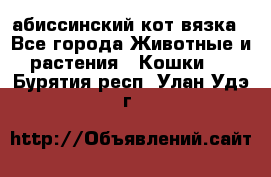 абиссинский кот вязка - Все города Животные и растения » Кошки   . Бурятия респ.,Улан-Удэ г.